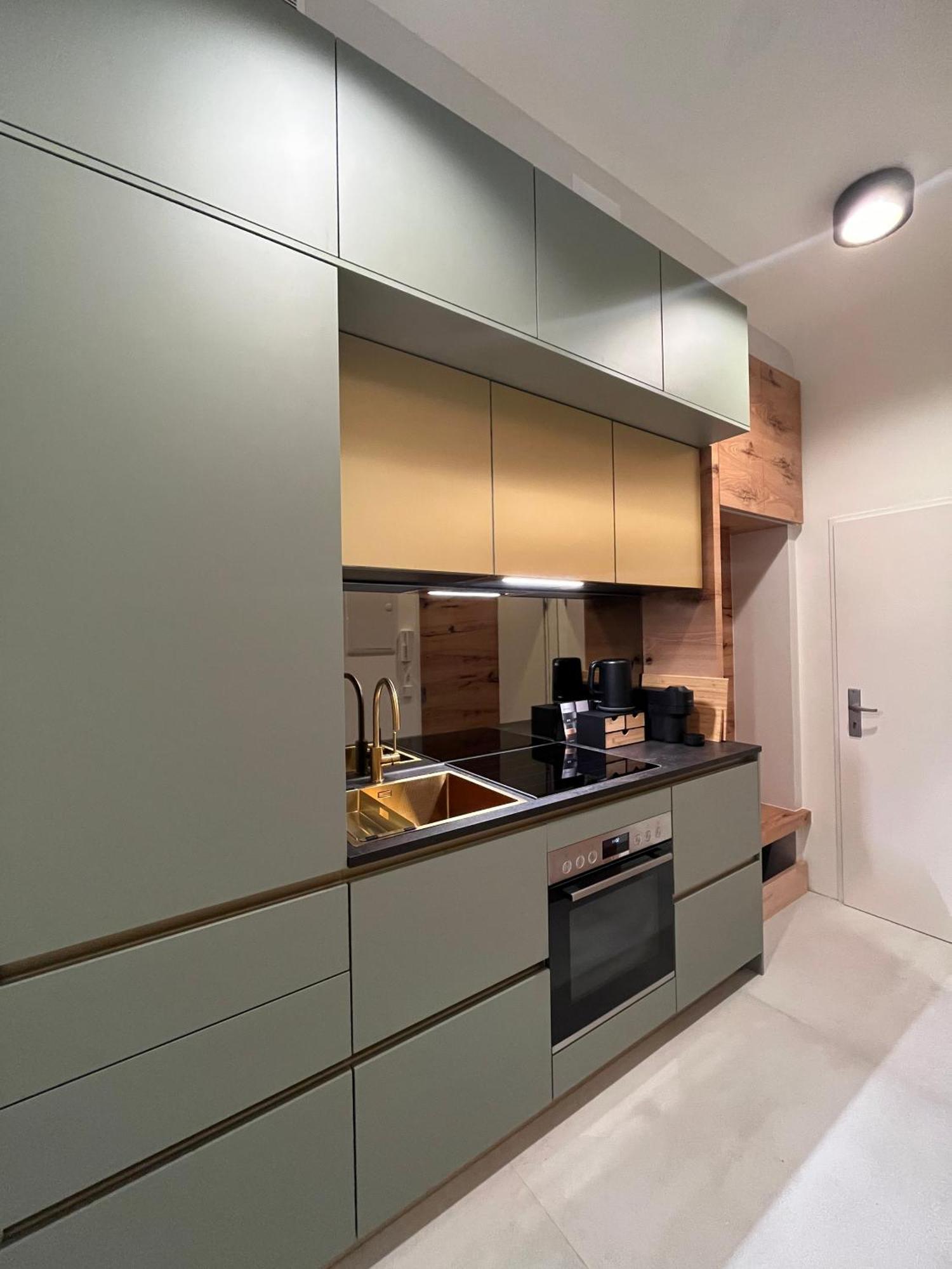 Luxurious One Room Apartment Near Schoenbrunn Palace Wien Exteriör bild