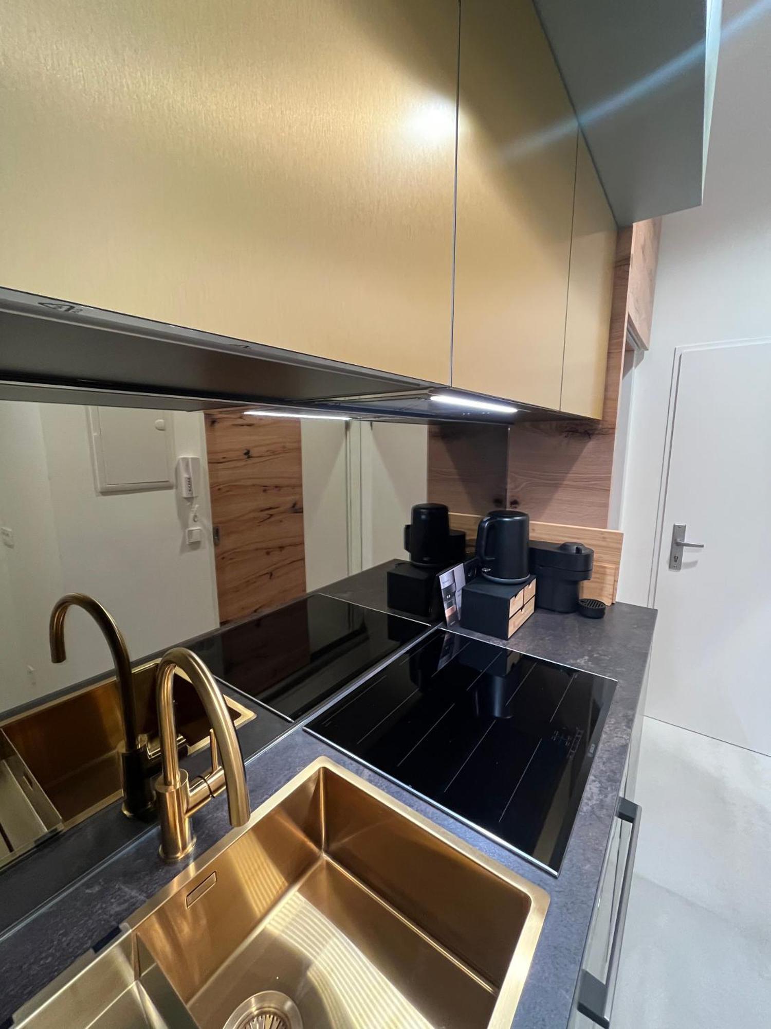 Luxurious One Room Apartment Near Schoenbrunn Palace Wien Exteriör bild