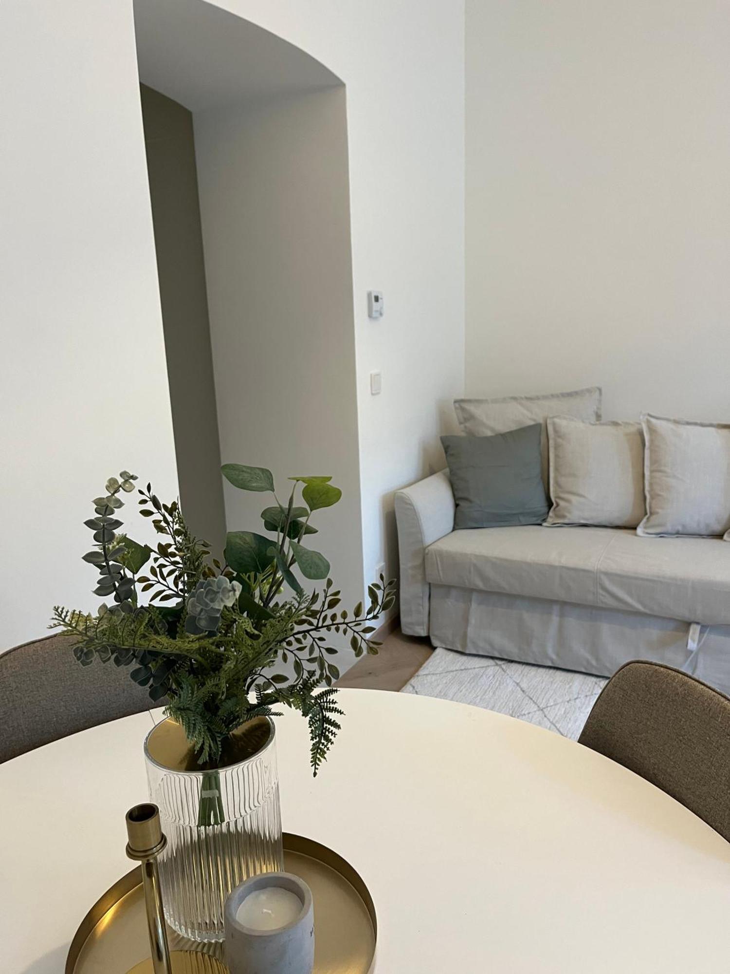 Luxurious One Room Apartment Near Schoenbrunn Palace Wien Exteriör bild